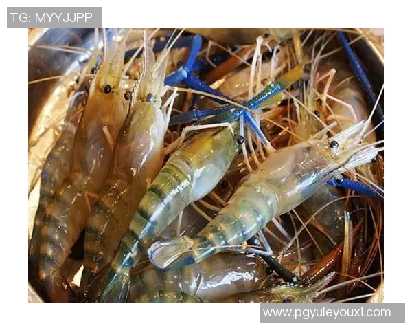 pg电子麻将胡了2网页版-探索PG电子麻将胡了2网页版，游戏规则与体验之旅-pg电子麻将胡了2网页版